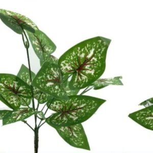 0132 BUQUE VERDE