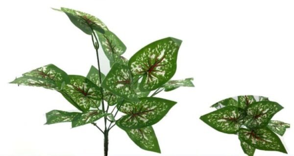 0132 BUQUE VERDE