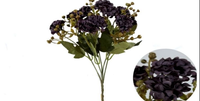 0700-ROXO