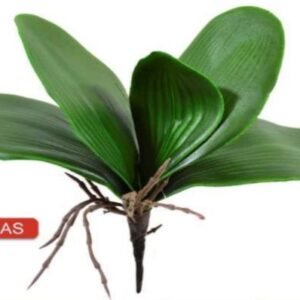 2198 FOLHA DE ORQUIDEA