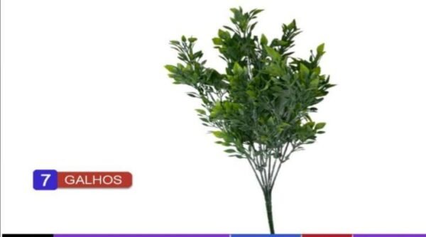 0090 BUQUE CAPIM