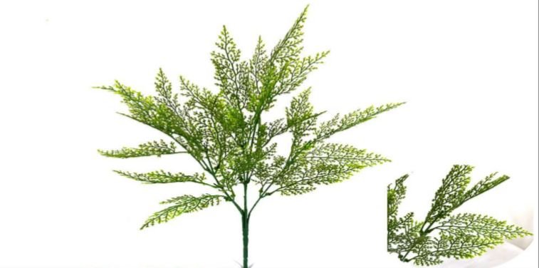 CAPIM-VERDE