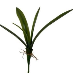 3380 FOLHA DE ORQUIDEA PERMANENTE