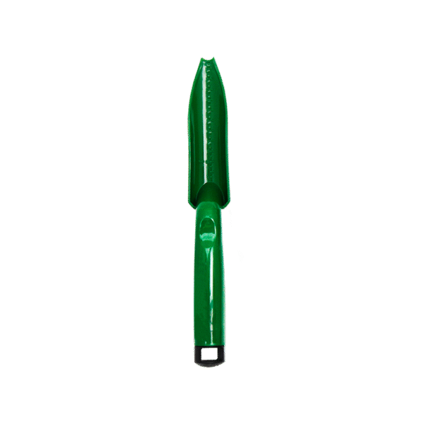 PAZINHA N 1 - VERDE