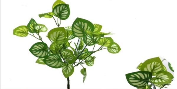 0130 BUQUE VERDE
