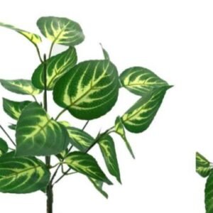 0131 BUQUE VERDE