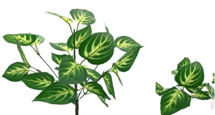 VERDE