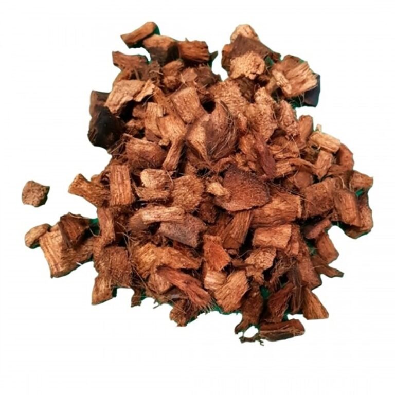 b667e6f1-chip-de-coco-600x600-1