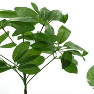 0133 BUQUE  VERDE
