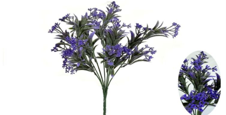 0137-LAVANDA