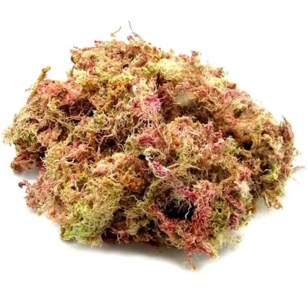 MUSGO ESFAGNO ROSA SCRIS 150G - Imagem 2