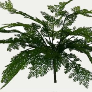 0913 BUQUE VERDE