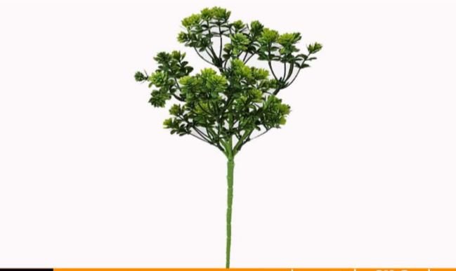 0756 BUQUE VERDE