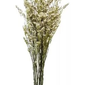FLOR FANTASIA (LIMONIUN) DESIDRATADA