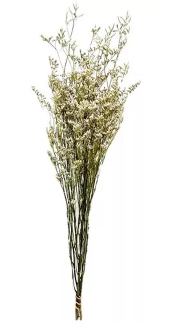 FLOR FANTASIA (LIMONIUN) DESIDRATADA