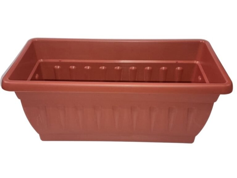 30202
