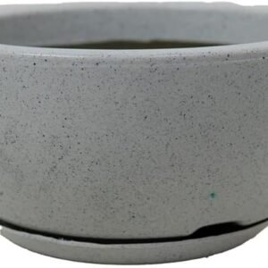 BACIA POLIDA C/ PRATO Nº1 - CIMENTO