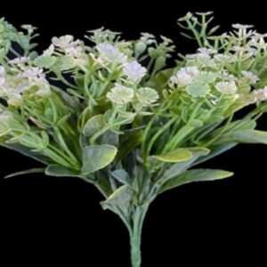 0752 BUQUE VERDE