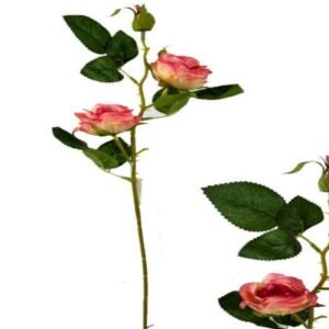 9275 HASTE 3X ROSA ROSA