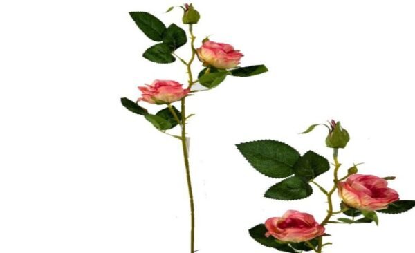 9275 HASTE 3X ROSA ROSA