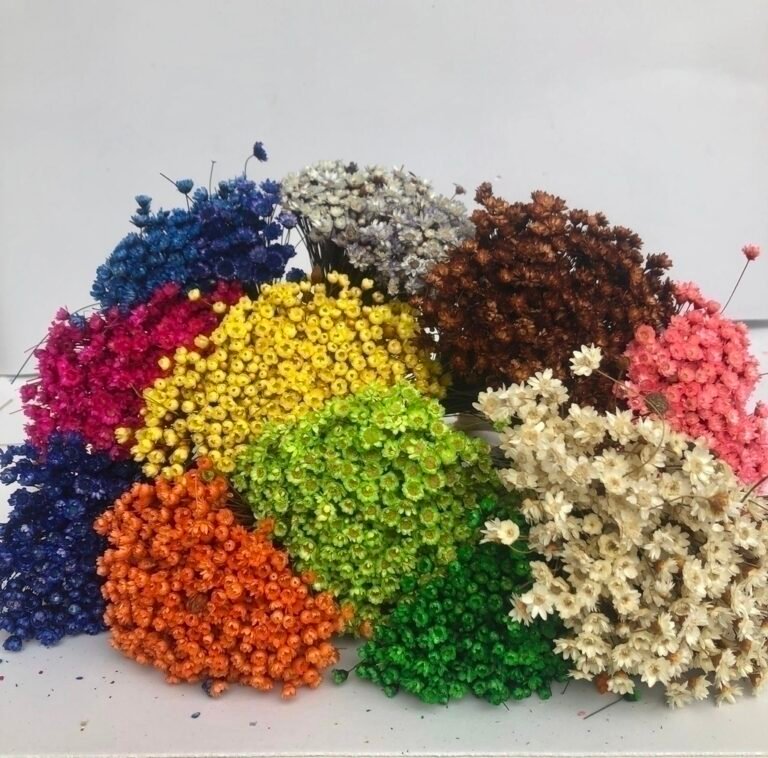 98c7d7be-eb51-453d-9396-f82200d07b6c1-68fac443c0c7ea8b3916529744113130-1024-1024