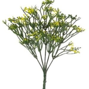 8813 BUQUE VERDE AMARELO