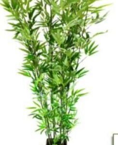 2202 HASTE ARVORE BAMBU