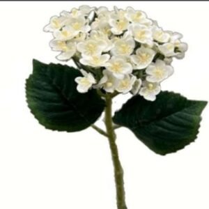 0729 BUQUE MINI FLOR BRANCO