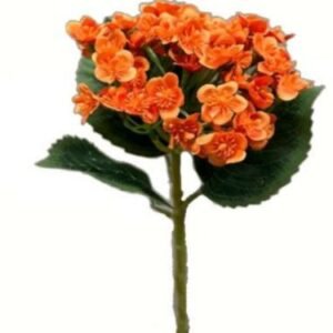 0729 BUQUE MINI FLOR LARANJA