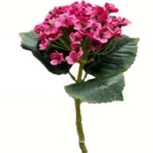 0729 BUQUE MINI FLOR PINK