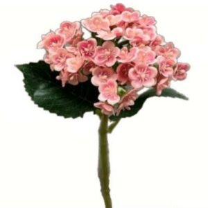 0729 BUQUE MINI FLOR ROSA