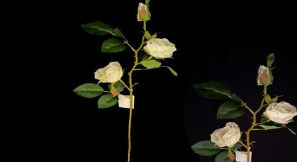9275 HASTE 3X ROSA BRANCA