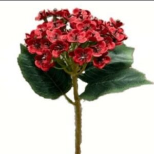 0729 BUQUE MINI FLOR VERMELHO