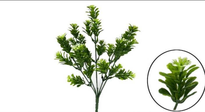 1787 BUQUE CAPIM VERDE