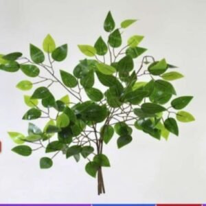 8797 FOLHAGEM FICCUS 1 HASTE