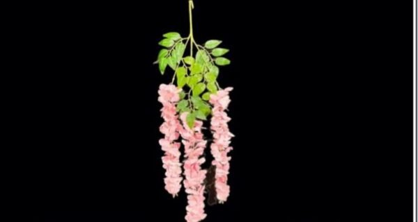 0333 PENDENTE GLICINIA ROSA