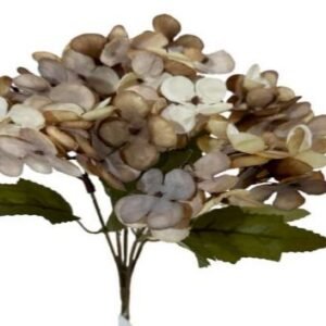 9185 BUQUE HORTENSIA
