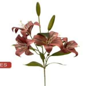 0074 LIRIO VERMELHO