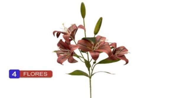 0074 LIRIO VERMELHO
