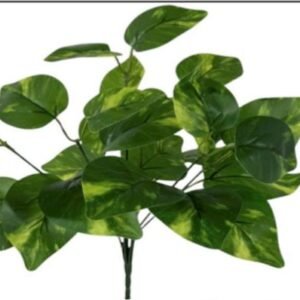 9259 BUQUE VERDE