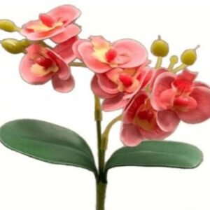 0817 HASTE MINI ORQUIDEA SALMAO