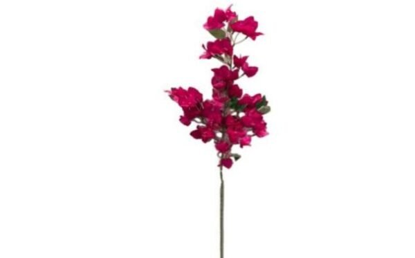 0398 HASTE PRIMAVERA