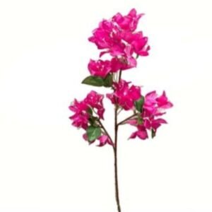 0723 HASTE PRIMAVERA