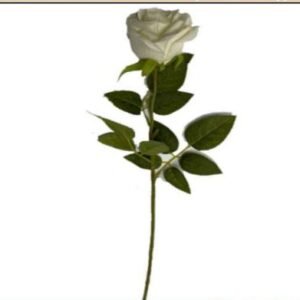 9163 HASTE ROSA BRANCA