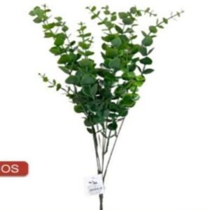1768 BUQUE EUCALIPTO VERDE