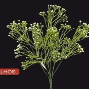 0763 BUQUE VERDE