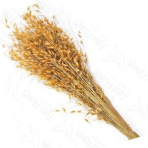 CAPIM DOURADO DESIDRATADO