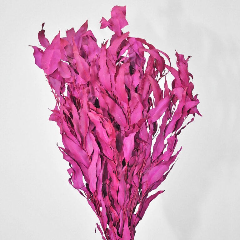 eucalipto_folha_fina_pink_desidratado_decoracao_e_buque_209767745_1_93e71e3e2a9479e006b7fa4508796a31