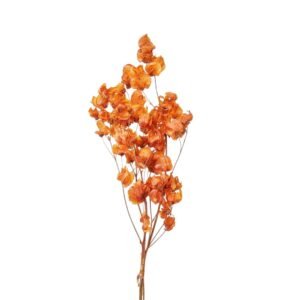 FLOR BOUGANVILLE DESIDRATADO