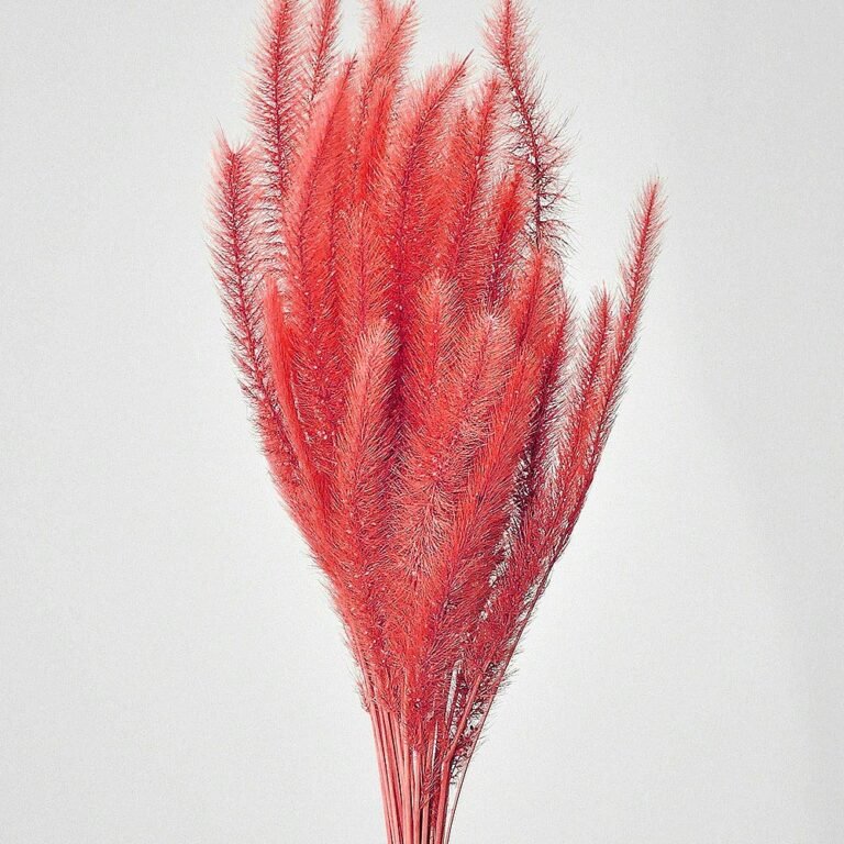rabo_de_esquilo_alvejado_vermelho_maco_de_flor_decoracao_para_casa_209767709_1_08edd22caae06103f6b7a95977b09a3f